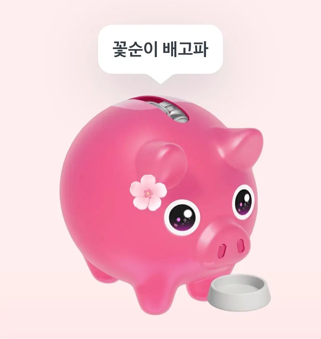 배고픈 꽃돼지 밥주실분....